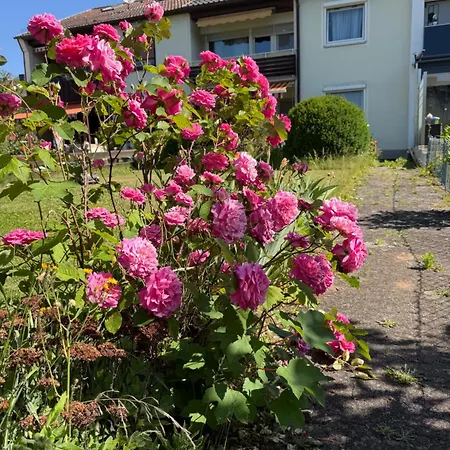 Ferien- Und Monteurwohnung Rotbuehl