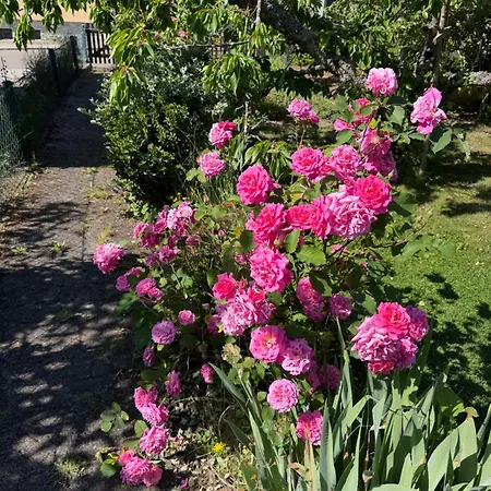 Ferien- Und Monteurwohnung Rotbuehl شيندلفينجن